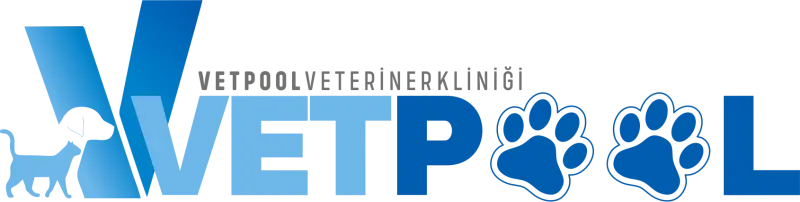 Vetpool Veteriner Kliniği Web Sitesi Tasarımı